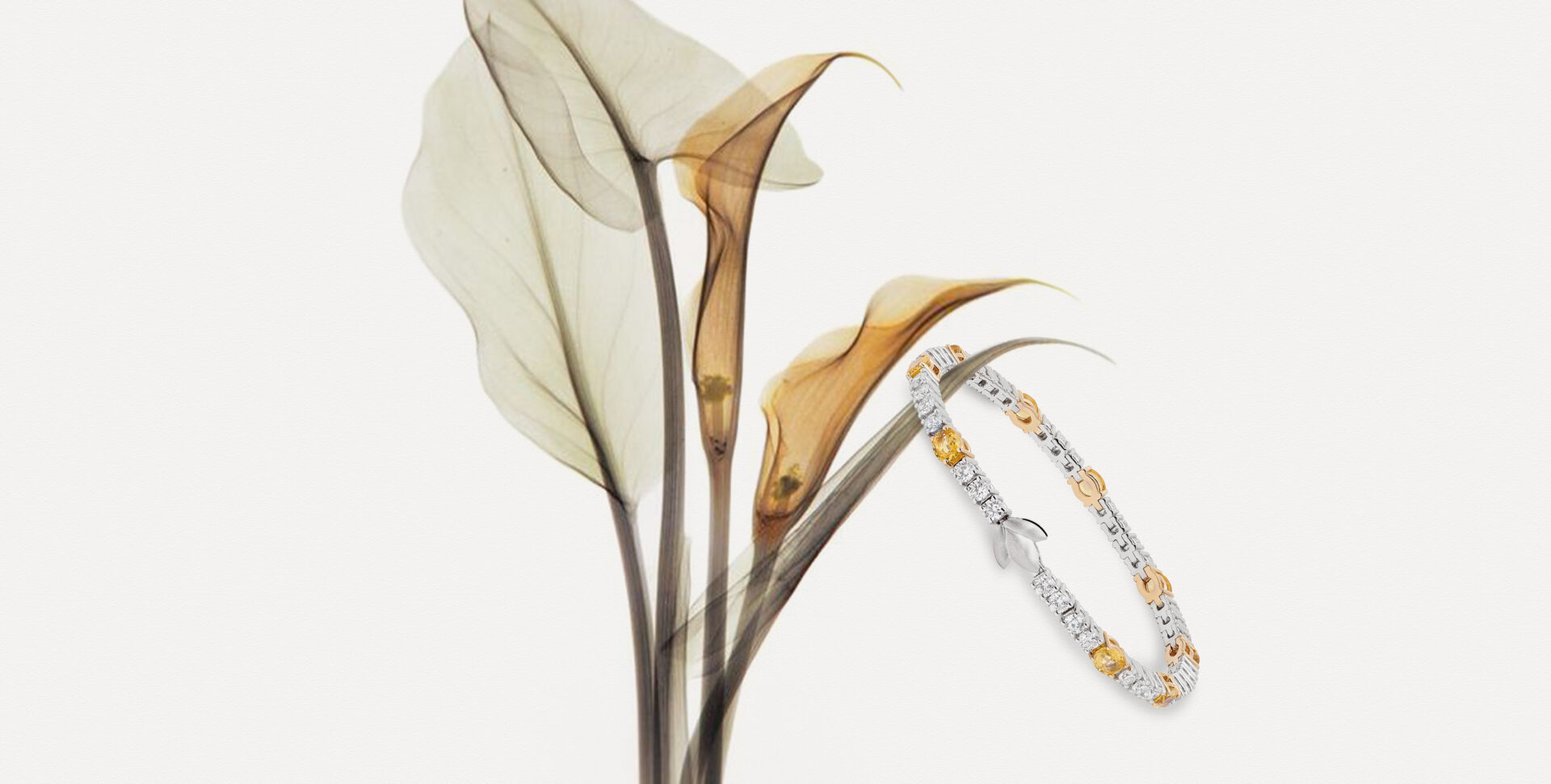 LILY_COLLECTIONINNERPAGE_890x450px_