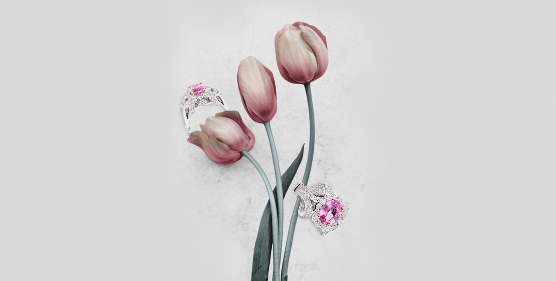 LILY_COLLECTIONINNERPAGE_890x450px_2